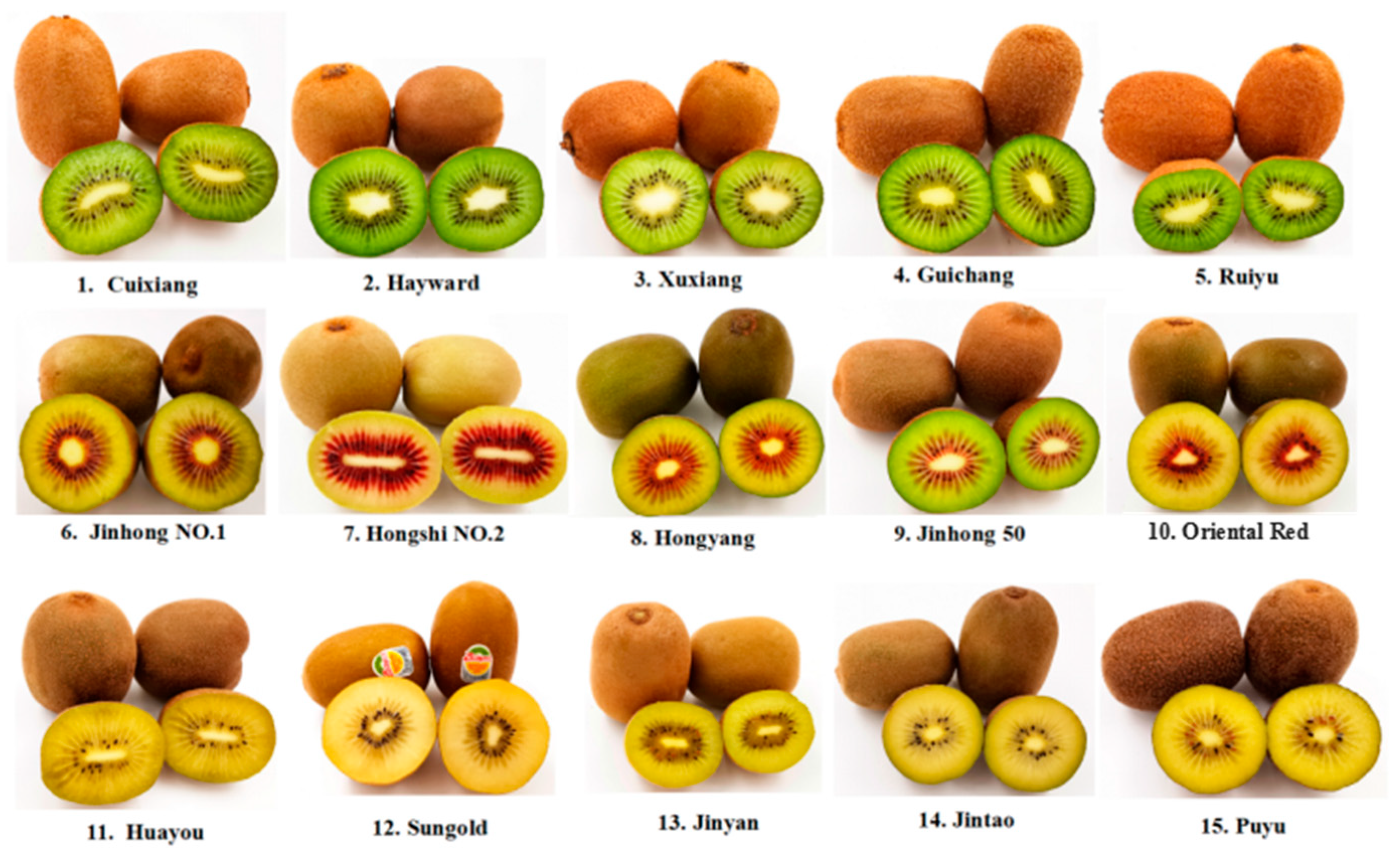 Comparative Analysis of Physicochemical Characteristics, Nutritional and Functional Components and Antioxidant Capacity of Fifteen Kiwifruit (Actinidia) Cultivars—Comparative Analysis of Fifteen Kiwifruit (Actinidia) Cultivars