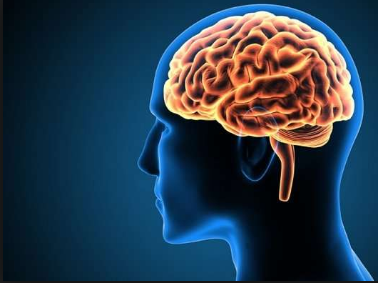 Stretching my brain — 5/31/19. That's all this is. It's been almost… | by Joel Gunderson | Medium