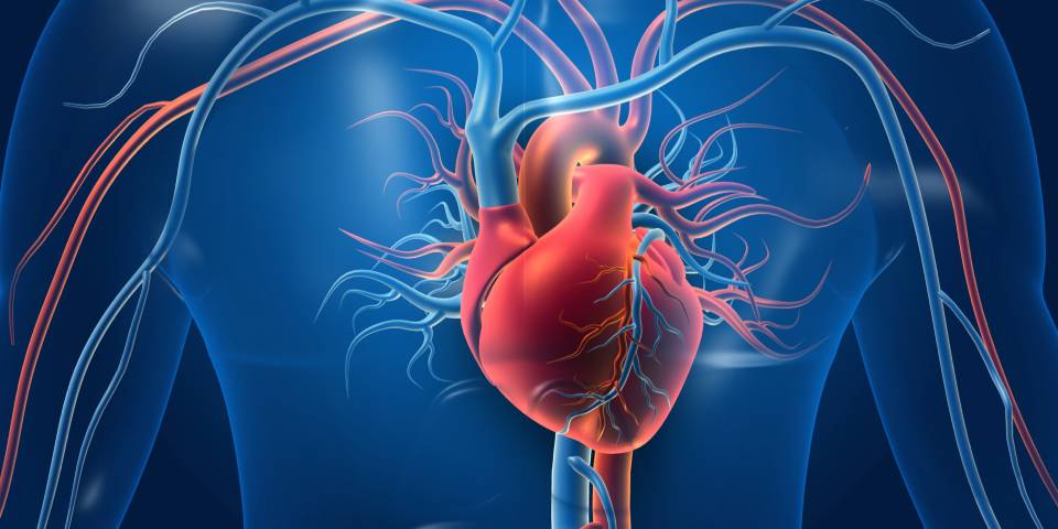 7 Reasons Why Regular Heart Health Checkups Are Important?